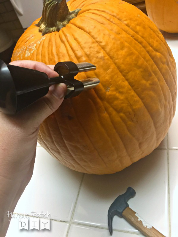 pumpkin-punch-1