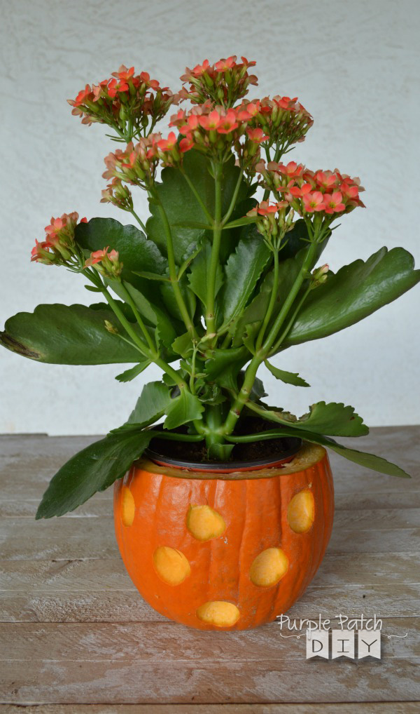 pumpkin-vase-1
